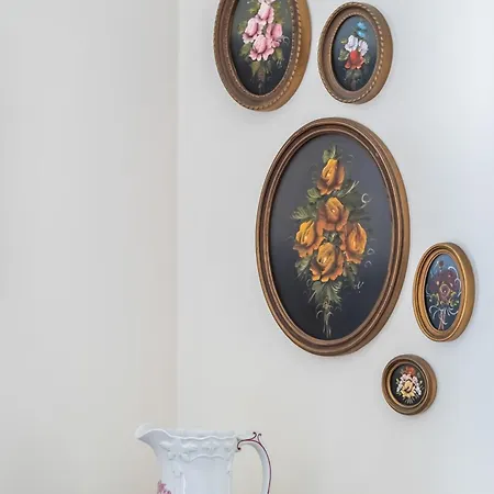 Casa Grande Da Camelia * São Vicente